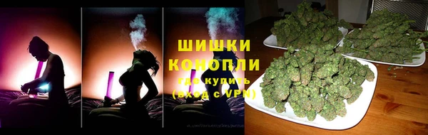 крисы Елабуга