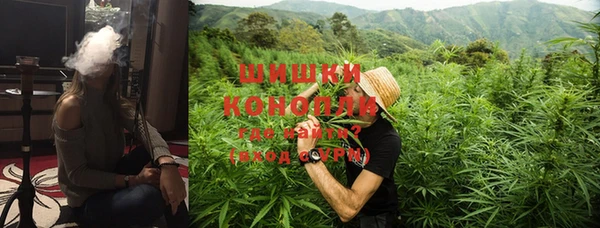 крисы Елабуга