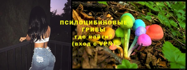 2c-b Усинск
