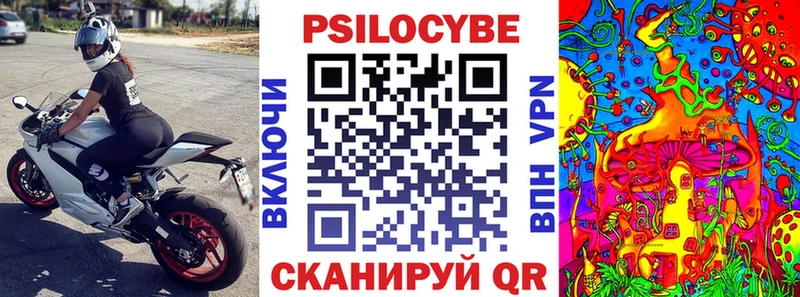 МЕГА   Белгород  Галлюциногенные грибы прущие грибы  как найти закладки 