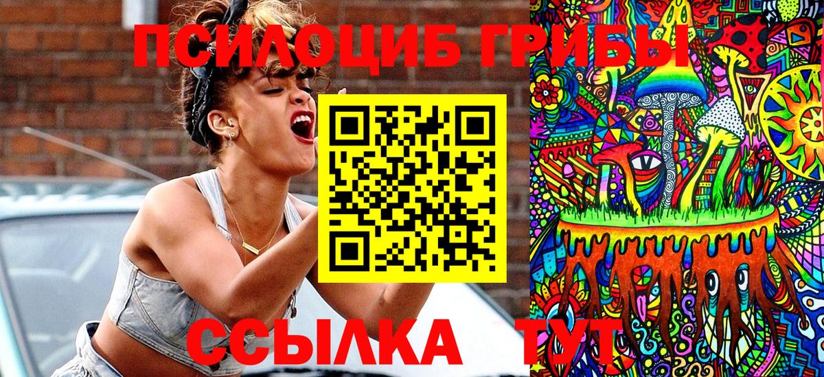 Галлюциногенные грибы Psilocybine cubensis Белгород
