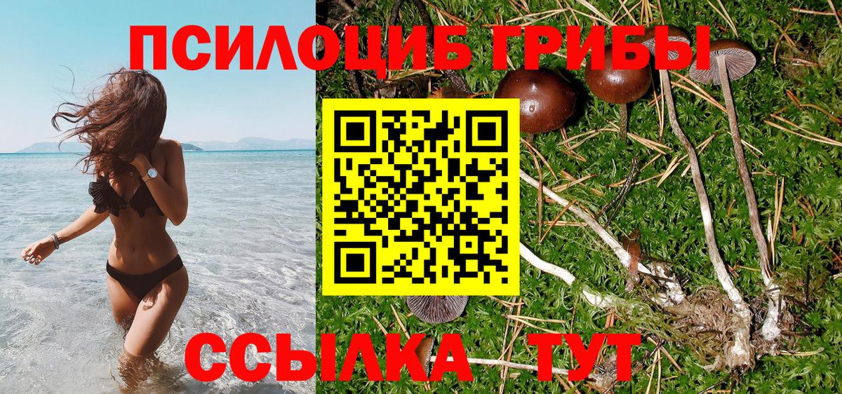 Галлюциногенные грибы мицелий  Белгород  продажа наркотиков  Галлюциногенные грибы MAGIC MUSHROOMS 