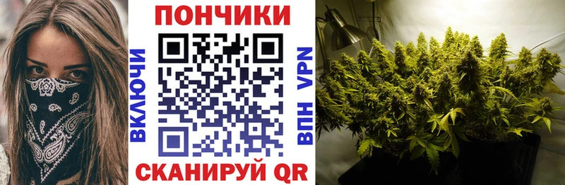 Марихуана ГИДРОПОН  где найти   Белгород 